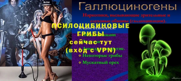 прущие крисы Покачи
