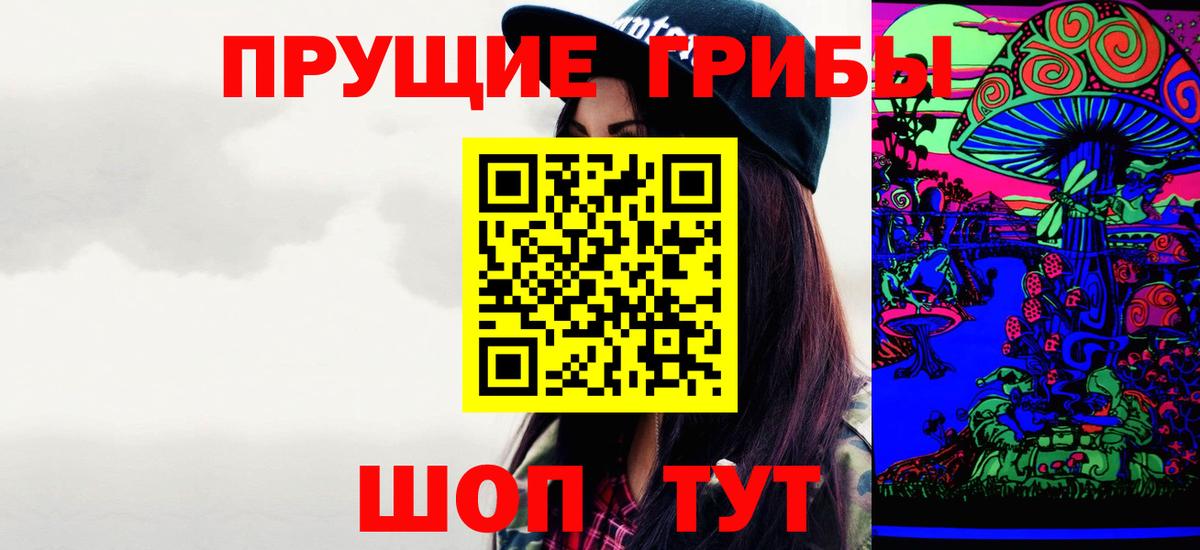 Галлюциногенные грибы мицелий  Асино  Псилоцибиновые грибы Psilocybe 