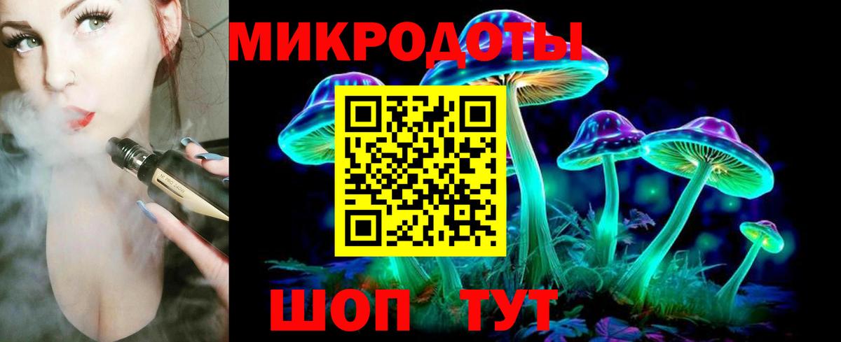 Галлюциногенные грибы Psilocybine cubensis Асино