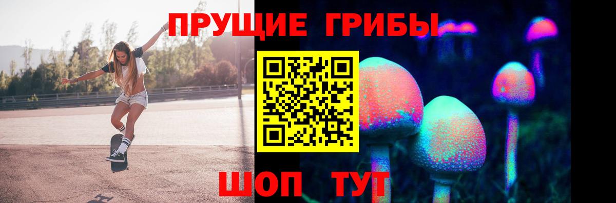 Асино  купить наркотик  Вход с VPN  Псилоцибиновые грибы Psilocybine cubensis 